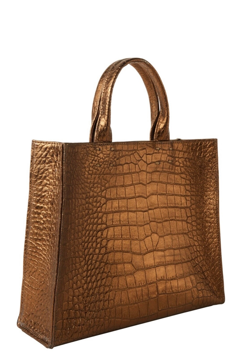 Adel Bronze Handbag